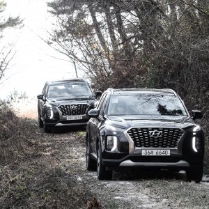 2020-hyundai-palisade-1(68).jpg